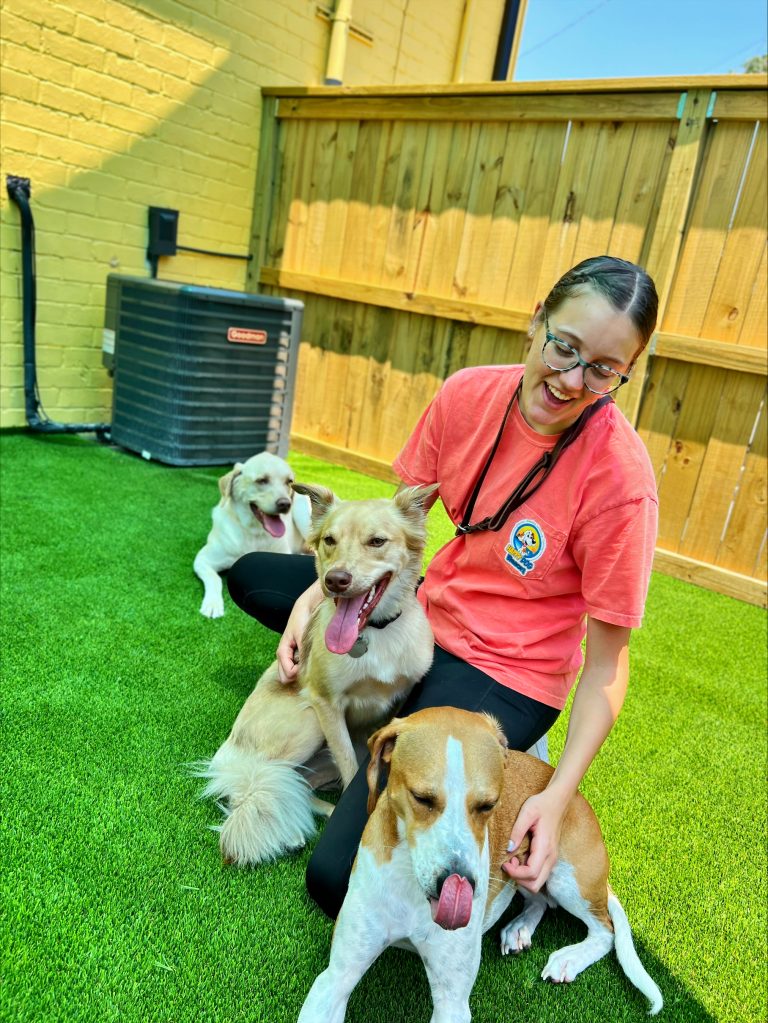 processed-1D31BC6A-BA4B-4358-A7BA-0DE8E5CB0E63-082886E3-2836-4134-AFFC-3986EFAB6FE2