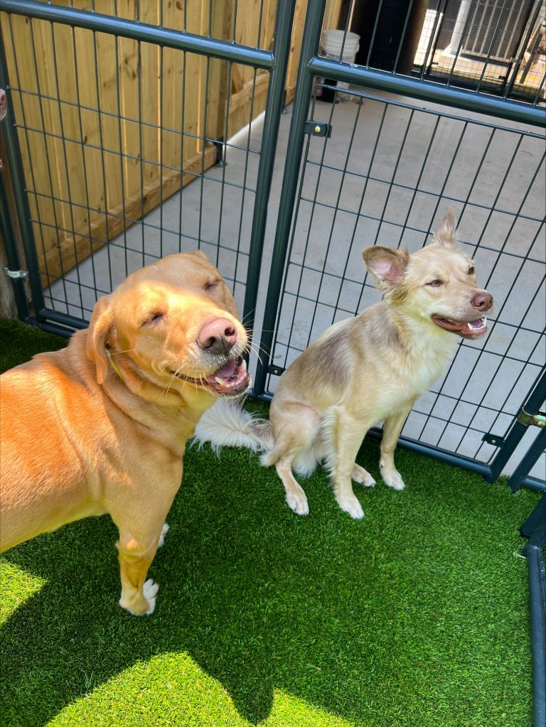 processed-2079CBBB-0576-48EF-B366-F2AF0C8402B1-6AD7A632-A5D5-465F-B331-F5A6D0DC6DD1