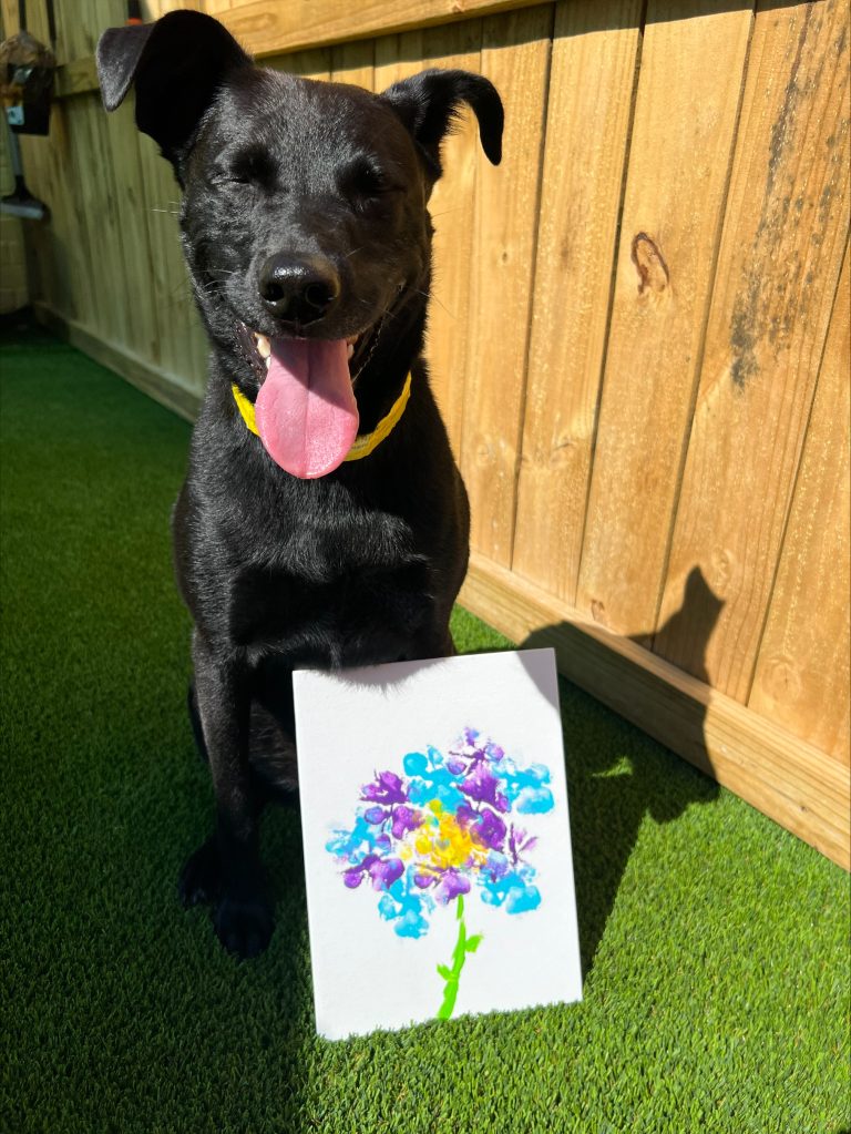 processed-769E479E-7E8B-41E4-9543-FD4B0F63DC2C-01BF7880-0E77-4241-A21F-709C92DA6C5E